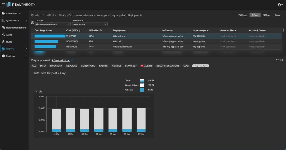 Total Cost Report: Deployment Information Panel